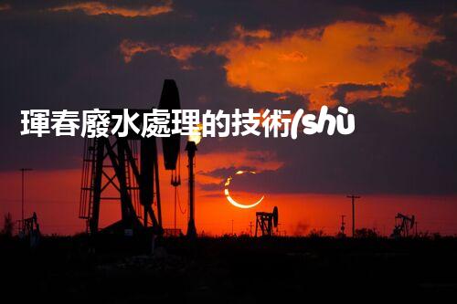 琿春廢水處理的技術(shù)突破與以后展望？